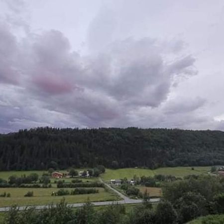 Apartament Skogan Leirfjord Zewnętrze zdjęcie