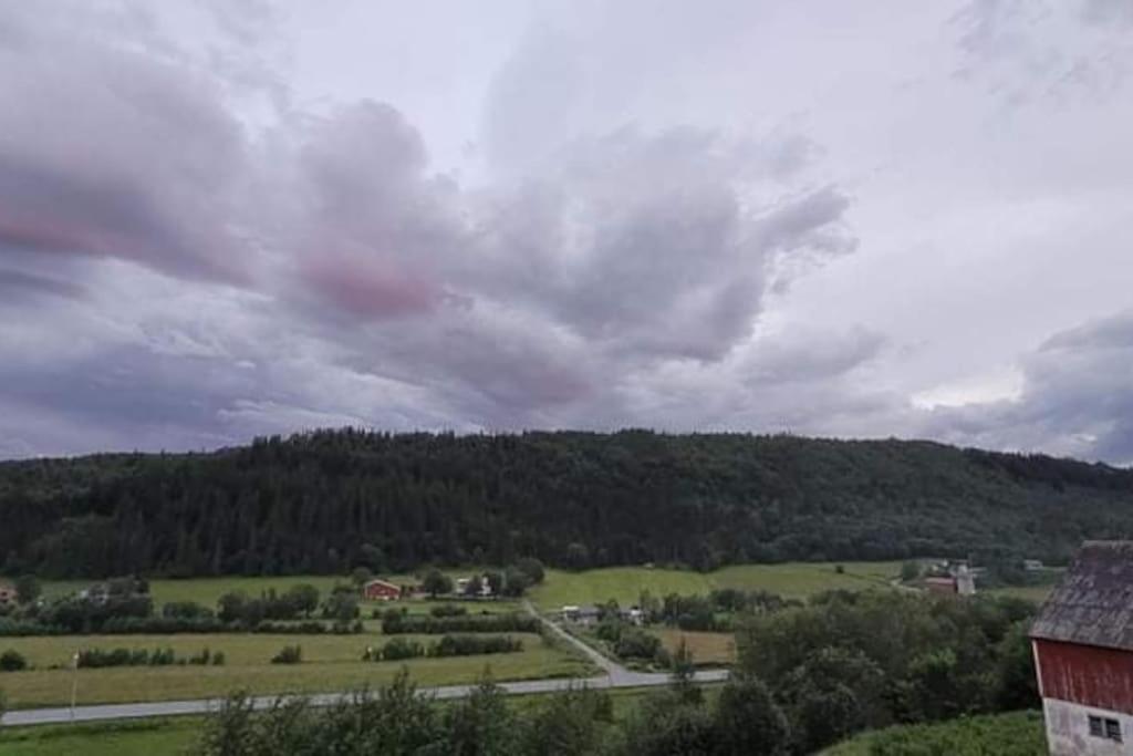 Apartament Skogan Leirfjord Zewnętrze zdjęcie