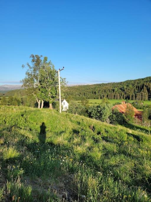 Apartament Skogan Leirfjord Zewnętrze zdjęcie