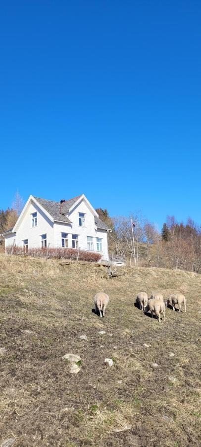 Apartament Skogan Leirfjord Zewnętrze zdjęcie
